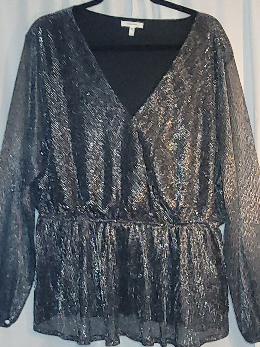 Maurice Silver Metallic Blouse Sheer Long Sleeves